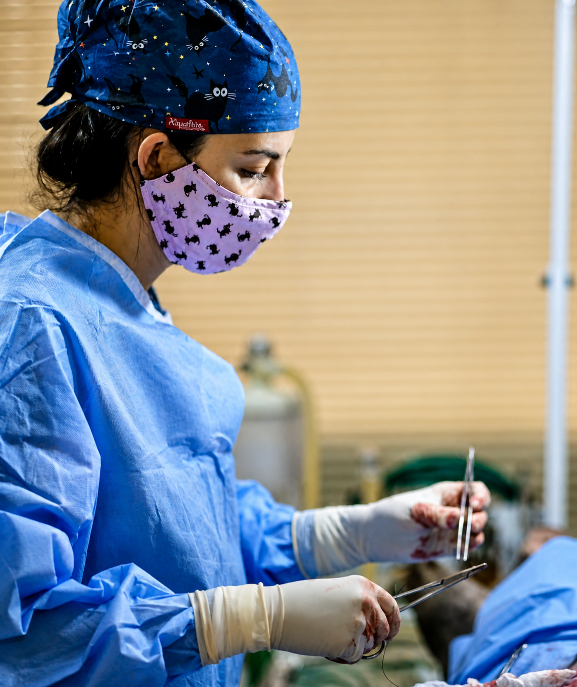 Dra. K Clínica Veterinária